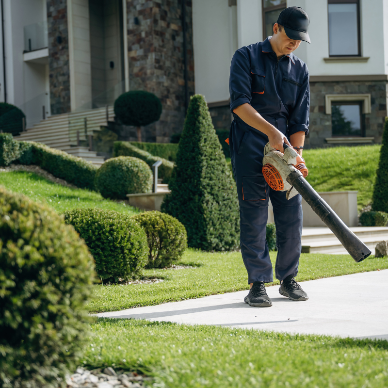 mantenimiento aeras verdes